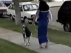 Kambur çirkin hatunlar XXX